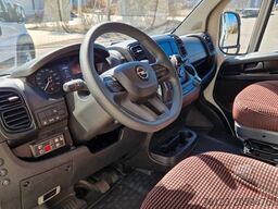 FIAT 3x Ducato 2x  Opel Movano 18 SS  in Stock