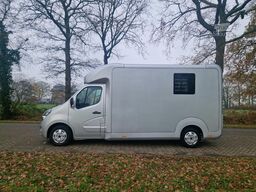 Opel Movano Occasion paardenwagen STX hengsten uitvo...