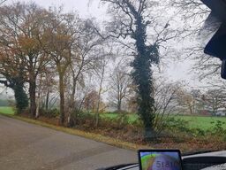 Opel Movano Occasion paardenwagen STX hengsten uitvo...