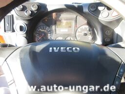Iveco Trakker 360 Kipper 4x4 Kran Palfinger