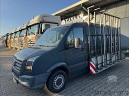 VOLKSWAGEN Crafter Kasten 2.0 TDI 30 mittel L2H1 GLASTRANS