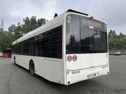 Solaris Urbino
