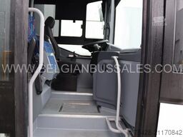 Iveco Crossway 12m Pop light / NEW!!