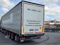 Fliegl SDS01  SAF Achsen Liftachse Scheibenbremse Edscha