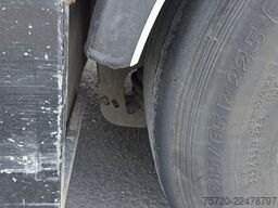 Fliegl SDS01  SAF Achsen Liftachse Scheibenbremse Edscha