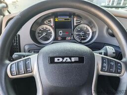 DAF WAB