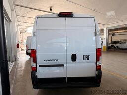 FIAT Ducato Maxi