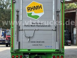 DAF XF 480 LL 6x2 3.Stock Menke Viehwagen m. Hubdach