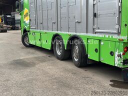 DAF XF 480 LL 6x2 3.Stock Menke Viehwagen m. Hubdach