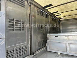 DAF XF 480 LL 6x2 3.Stock Menke Viehwagen m. Hubdach