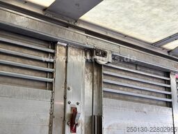 DAF XF 480 LL 6x2 3.Stock Menke Viehwagen m. Hubdach