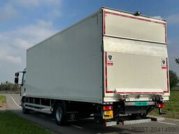 Renault D D.280.14 EURO6 2023.  750x248x245