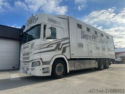 Scania R500 6x2 livestock truck – 12 cattle or 120 sheep/