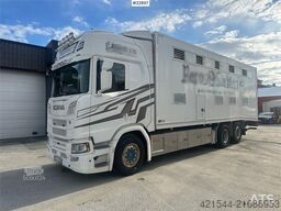 Scania R500 6x2 livestock truck – 12 cattle or 120 sheep/