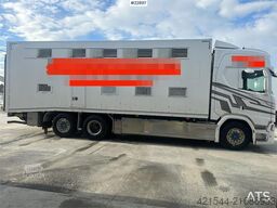 Scania R500 6x2 livestock truck – 12 cattle or 120 sheep/