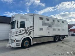 Scania R500 6x2 livestock truck – 12 cattle or 120 sheep/