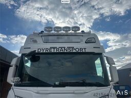 Scania R500 6x2 livestock truck – 12 cattle or 120 sheep/