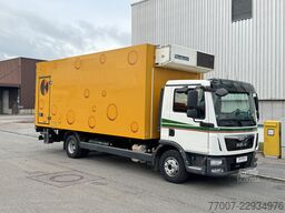 MAN TGL 12.250 Tiefkühlkoffer 6m LBW E6 Klim