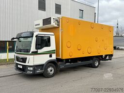 MAN TGL 12.250 Tiefkühlkoffer 6m LBW E6 Klim