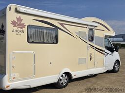 Ahorn Canada TE Plus