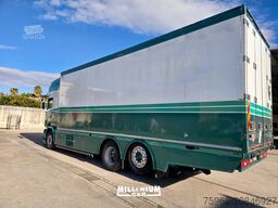 SCANIA R 730 EURO 6 CELLA FRIGO 8,40