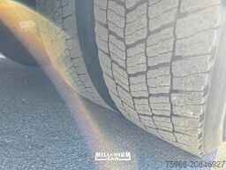 SCANIA R 730 EURO 6 CELLA FRIGO 8,40