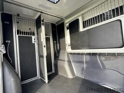 Renault Master STX S5L Automaat 5 pers pro-safety paard...