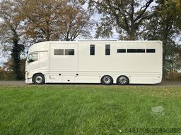 Volvo FH Occasion paardenvrachtwagen Roelofsen specia...