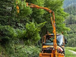 Mulag MULAG Ast- und Wallheckenschere AWS2200