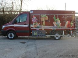 MERCEDES-BENZ Sprinter 310  Euro 5 Cold Car -33°C ATP 06/28