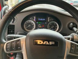DAF XF 450