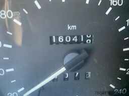 Ford Transit 350  x Giardinieri