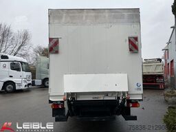 DAF LF 210 FA*DHollandia LBW*486Tkm*Turbo Schaden