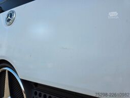 MERCEDES-BENZ Atego 1224 / Euro: 6E | Aluklappen | Ladebordwa