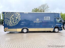 DAF AE 75 Niehoff