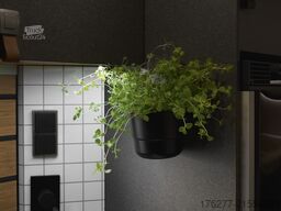 Hymer ML T 580 Mercedes 4WD