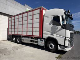 Volvo FH 13 500 6X 26T EURO 6 GANADO