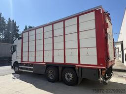 Volvo FH 13 500 6X 26T EURO 6 GANADO