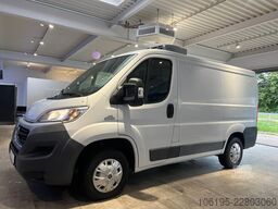 FIAT Ducato Kühlwagen - 0 C.*L1-H1*Kastenwagen*