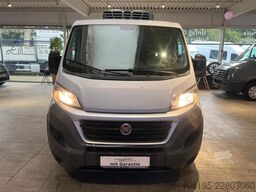 FIAT Ducato Kühlwagen - 0 C.*L1-H1*Kastenwagen*