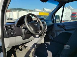 MERCEDES BENZ SPRINTER TELAI CABINATI - 311 CDI T 43/35 euro 6