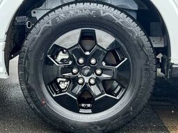 Carado T 449 EDITION26