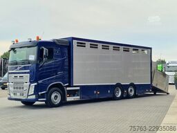 Volvo FH 13.420 6x2 - 1 deck livestock - Manual gearb...