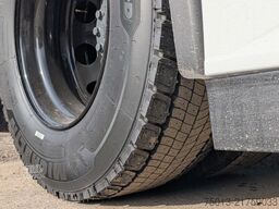 DAF XG+ 530 PS, MIETEN?