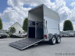 Böckmann Champion R Pferdeanhänger