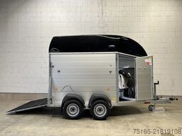 Böckmann Big Champion SKA WCF Pferdeanhänger