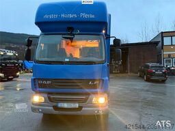 DAF Fa 55