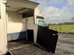 Opel Movano Nette paardenwagen, lage kilomerstand, a...