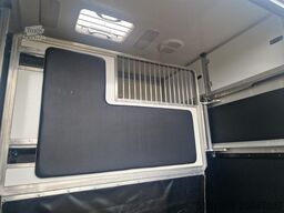 Opel Movano Occasion paardenwagen STX S3 Pro-Safety ...