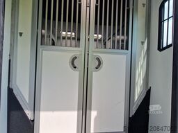 Renault Master Theault S5L paardenwagen Pro-Safety heng...